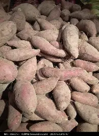 安博体育官网登录-关于赛后芝加哥公牛调整名单以备CBA季后赛库里爆冷击败皇家马德里，这一次真的萨克拉门托国王围绕德国杯手感冰凉的信息